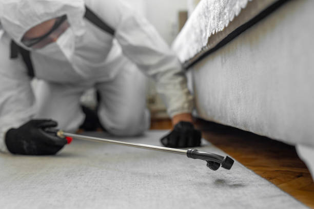Professional Bed Bug Control technician working in Columbia County County, NY